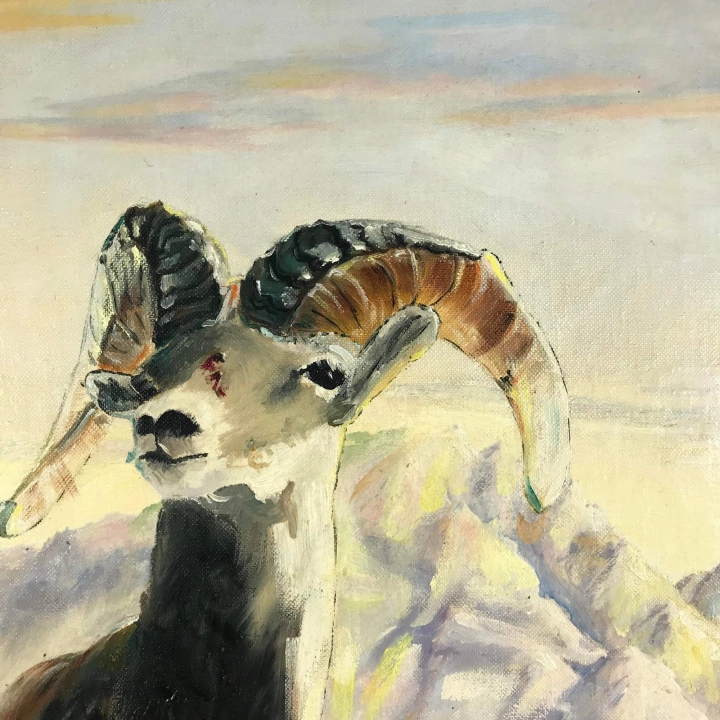 1973 Donald Gordon McCauley Desert Big Horn Sheep Framed Oil on Board Painting #7